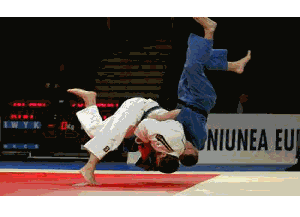 le judo